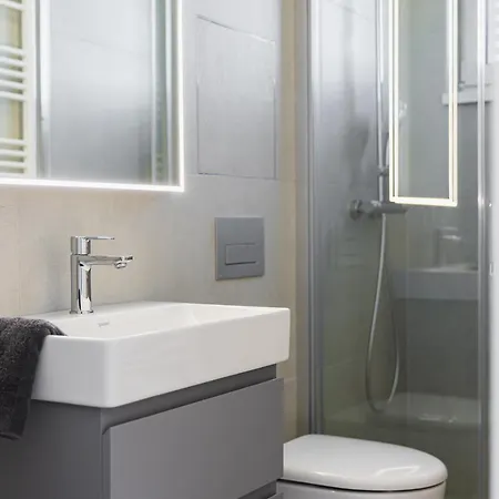 Apartment Panorama Bory Penthouse *