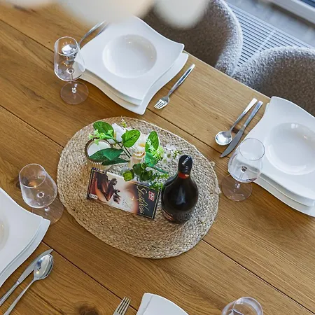 Apartment Panorama Bory Penthouse *