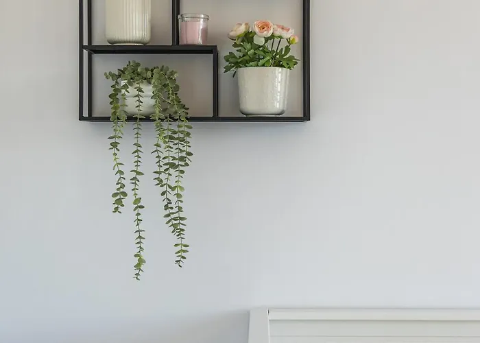 Panorama Bory Penthouse شقة